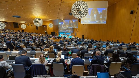 1,200 delegates have joined the historic final-stage negotiations on a proposed treaty on intellectual property, genetic resources and associated traditional knowledge. Photo: World Intellectual Property Organization (WIPO) / X (formerly Twitter)