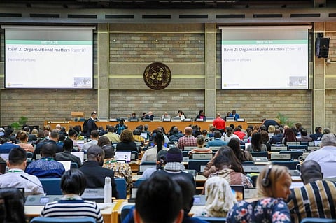 Third plenary session of the Nairobi United Nations Biodiversity Meetings on May 14, 2024. Photo: @UNBiodiversity / X (formerly Twitter)