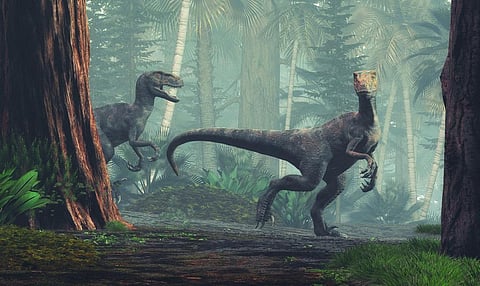 The unique trait of warm bloodedness developed in theropods like Velociraptor, who are the ancestors of modern day birds. Photo: iStock