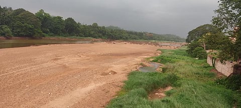 Nethravati river near Mangaluru has gone dry near Uppinangady in the foothills of the Western Ghats. The river was classified as perennial just 10 years ago. Photo: Dr Amrut Malla
