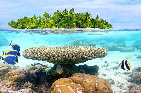Resilience, recovery and change are an inherent feature of natural ecosystems.