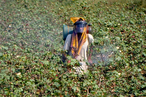 Pesticides Management Bill, 2020 will hurt farmers’ livelihood, say experts