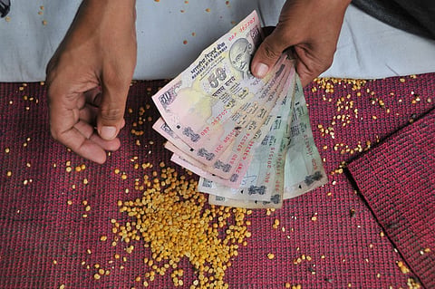 दलहन उत्पादन में 11 फीसदी की कमी, आयात की मजबूरी लगा सकती है आत्मनिर्भरता को झटका 