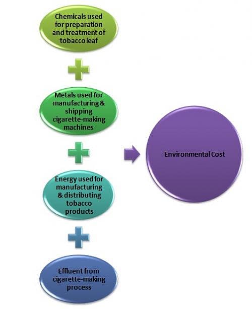Your cigarette continues to harm environment long after it is extinguished