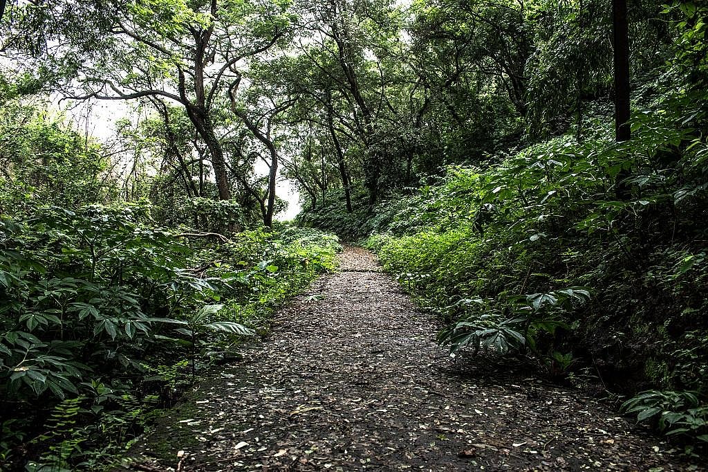 MoEFCC’s actual expenditure reduced by nearly 20% of budget estimates ...
