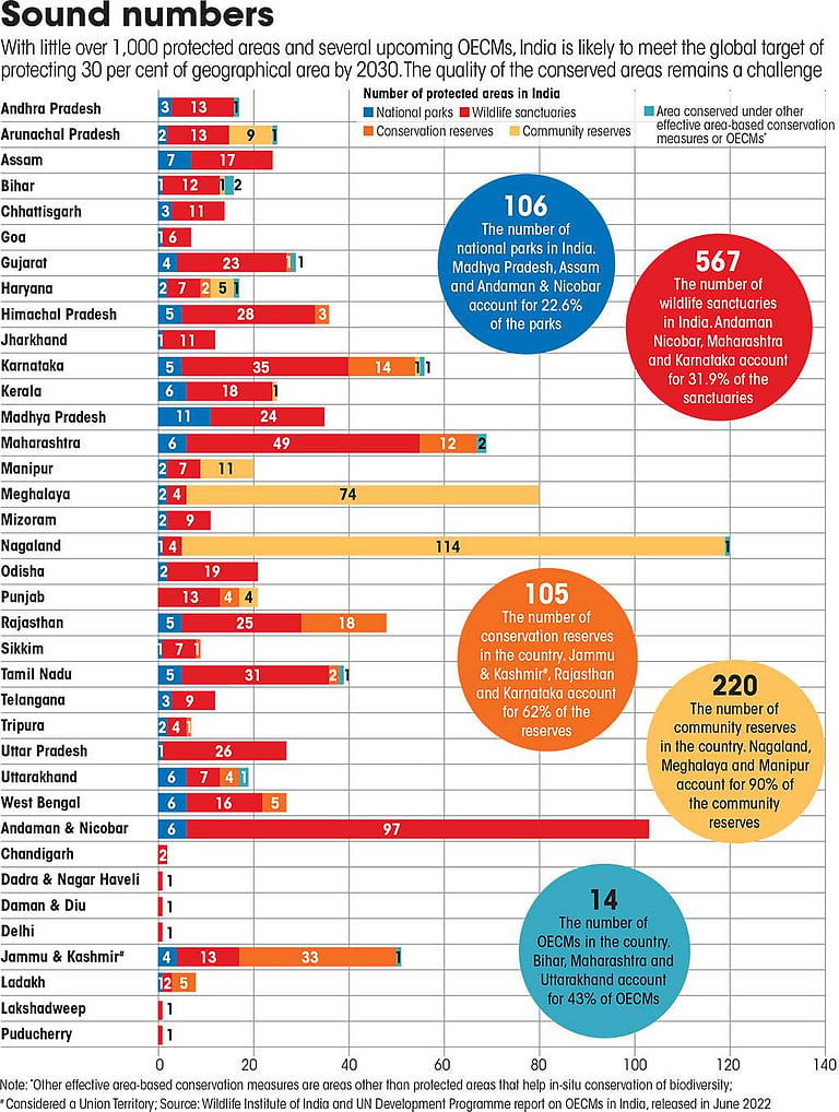 Can the Global Biodiversity Framework Fund make a difference?