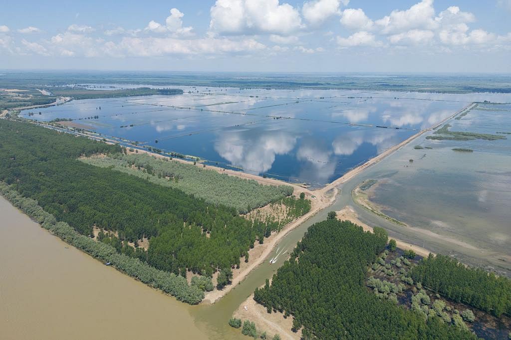 WWF demands protection for naturally-restored Mahmudia wetland in ...