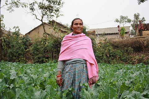 Instead of granting new powers to corporations, governments should support local communities to achieve control over their own control over their seeds