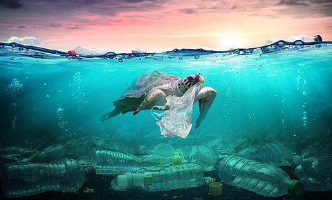 Plastic pollution in ocean as turtle eats a plastic bag
