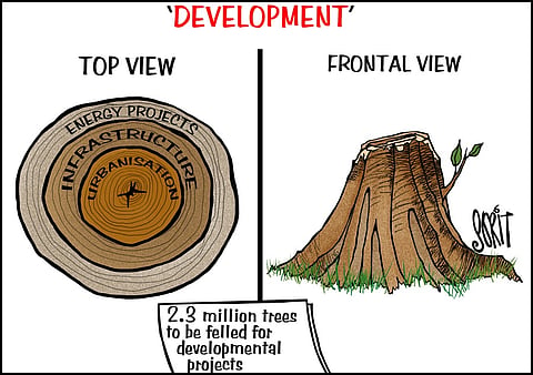 Simply Put: The dendrological truth