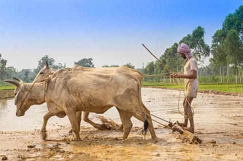 New Government’s Agenda: Offer farmers a new deal