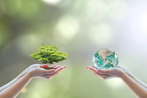 Biodiversity finance: Report highlights need to meet target of providing $20 billion a year to developing countries from 2025