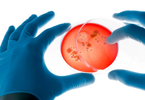 Photo for representation: iStock