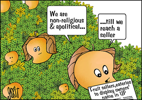 Simply put: Social identity of fruits