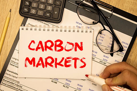 Economic Survey 2024 raises questions on India’s voluntary carbon market; double accounting & expensive emission reduction activities are concerns