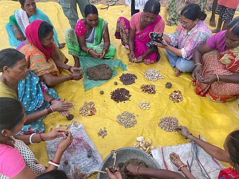 Sal seeds are crucial for the local economy.