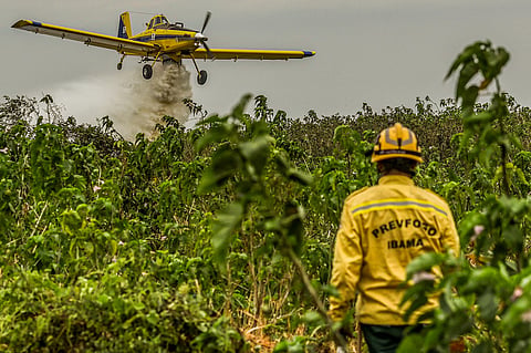 More than 500 professionals, with the support of 9 aircraft, are fighting fires in the Pantanal.