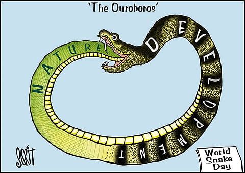Simply Put: World Snake Day 2024