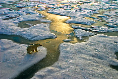 The 1.5° has been considered an important threshold as severe impacts such as the destruction of coral reefs, loss of Arctic sea ice, and thawing of permafrost may intensify beyond that point.
