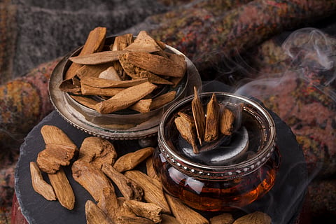 Agarwood incense chips