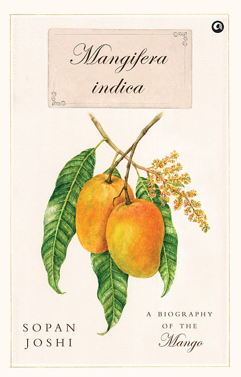 Book Excerpt: The mango in Buddhist symbolism