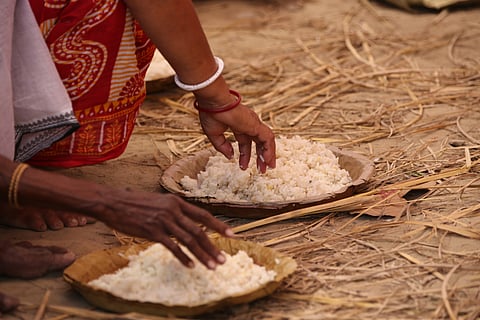 55.6 per cent Indians unable to afford a healthy diet: SOFI Report