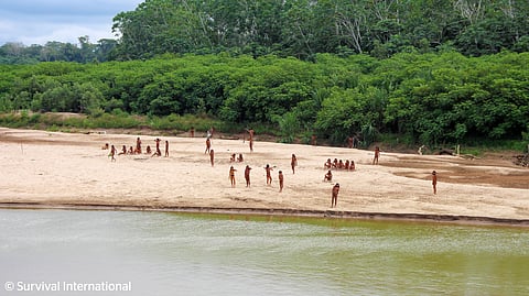 The Mashco Piro on the banks of the Las Piedras river