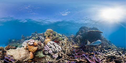 Lizard Island, Great Barrier Reef, Australia, July 2014