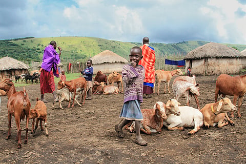 The Ngorongoro division is home to thousands of Maasai pastoralists and is conspicuously absent from the roster of polling centres released recently
