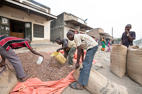 Among leading countries for digital agricultural solutions, Ghana has the highest share of providers that do not make data privacy policies readily available on their websites.