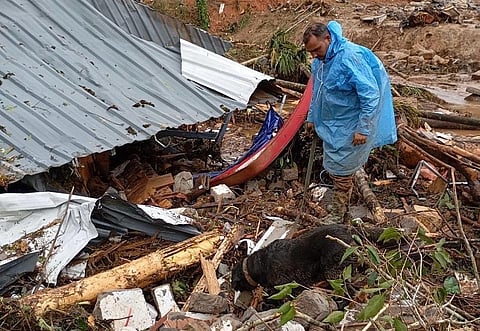 In Wayanad, three search and rescue Labrador dogs of the Indian Army named Jaki, Dixie and Sara are helping in rescue efforts.