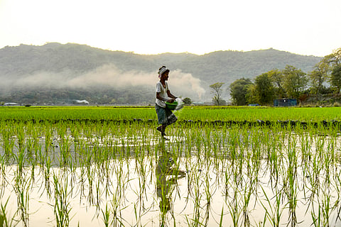 By reducing the need for excessive fertiliser application, farmers can lower their input costs and minimise their environmental footprint.