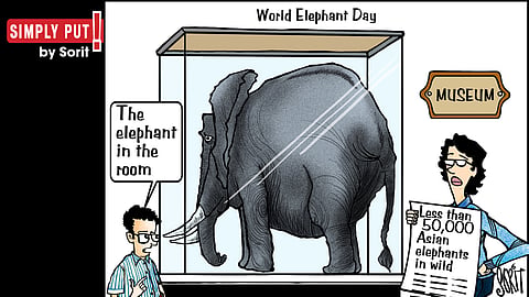 Simply Put: World Elephant Day 2024