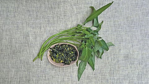 Quest for nutrients: The versatile water spinach can boost folic acid levels