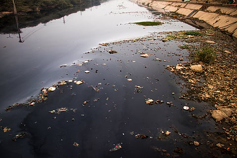 Yamuna continues to receive sewage as 8 STPs remain dysfunctional: Delhi Jal Board

