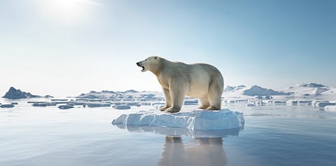 Toxic mercury trapped in Arctic’s permafrost is now leaking into environment due to global warming: Study 
