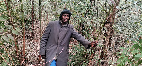 Mvelase Simelane, a resident of Nice Fill in Hlathikhulu, says that hunting of monkeys by residents is controlled.