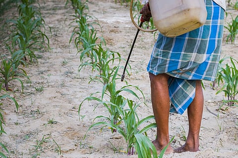 Adaptive agriculture: Technofixes won’t help make Indian farmers climate-resilient