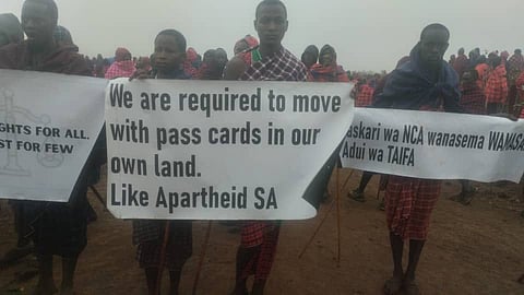 Maasai situation in Tanzania reminiscent of ‘Bantustans’ and ‘Pass Laws’ in Apartheid South Africa, claims activist as community blocks key highway