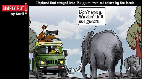Simply Put: Elephantine hospitality