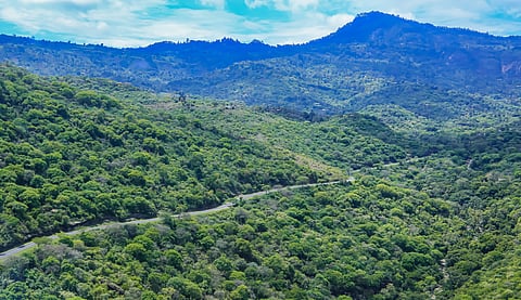 Aerial view of Taita Hills showing mountainous region with thick forests 