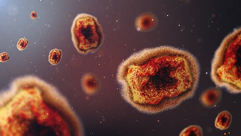 Monkeypox virus showing signs of microevolution as new virus clade reported in Africa