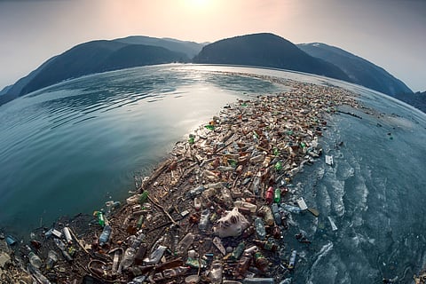 Alien species arriving on plastic 'rafts' threaten Antartica's marine ecosystem