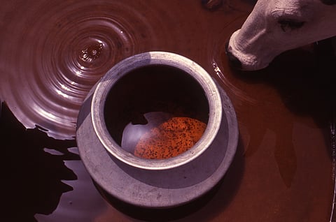 Chemical pollutants from industries resulted in the complete destruction of plants, surface water and ground water in Bichhri village, Udaipur, Rajasthan in the 1980s. 