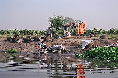 81 rivers, tributaries have extremely high concentration of one or more toxic heavy metals