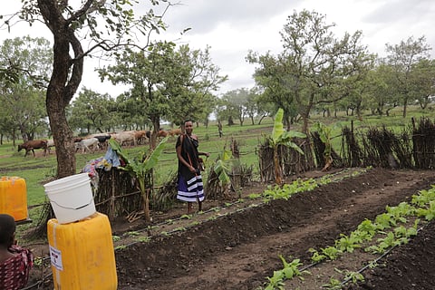 A climate-smart revolution is brewing in Tanzania and Maasai women are spearheading it
