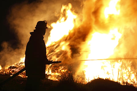 Forest fires in Canada emitted more carbon in 5 months than an industrial nation’s annual emission: Study 

