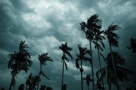 Monsoon 2024: Record heatwaves, rare cyclone in Arabian Sea, La Nina — is India headed towards 1999 recall? 