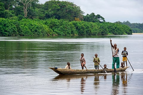 Artisanal mining causing harm to forests and wildlife in eastern province of Democratic Republic of Congo