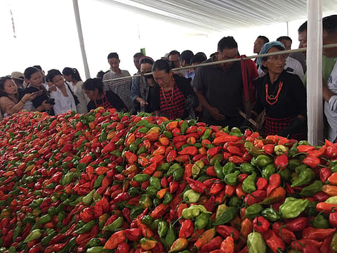 During the festival, king chillies were sold at Rs 500 for mildly ripe (green) and ripe (orange) chillies, while fully ripened chillies were priced at Rs 600 — slightly lower than typical market prices